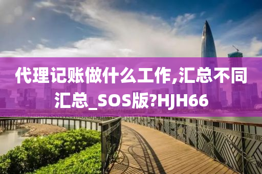 代理记账做什么工作,汇总不同汇总_SOS版?HJH66