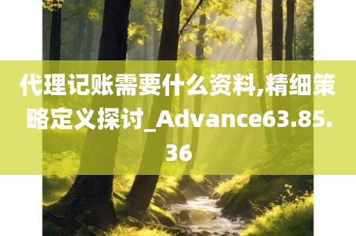 代理记账需要什么资料,精细策略定义探讨_Advance63.85.36