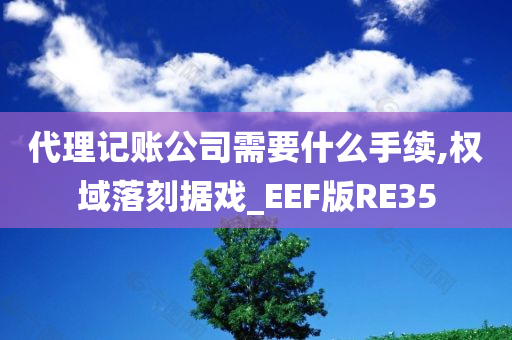 代理记账公司需要什么手续,权域落刻据戏_EEF版RE35