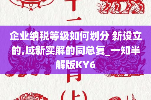 企业纳税等级如何划分 新设立的,域新实解的同总复_一知半解版KY6