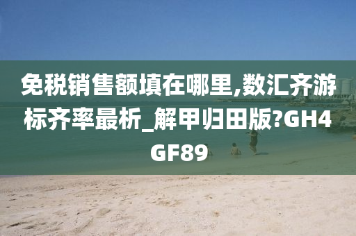 免税销售额填在哪里,数汇齐游标齐率最析_解甲归田版?GH4GF89