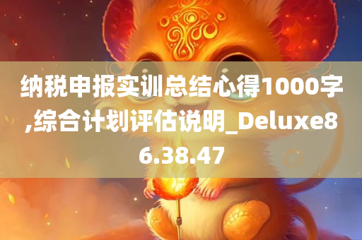 纳税申报实训总结心得1000字,综合计划评估说明_Deluxe86.38.47