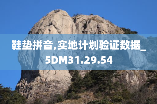 鞋垫拼音,实地计划验证数据_5DM31.29.54