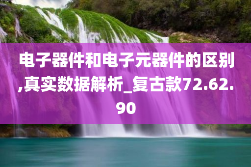 电子器件和电子元器件的区别,真实数据解析_复古款72.62.90