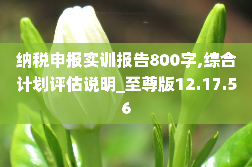 纳税申报实训报告800字,综合计划评估说明_至尊版12.17.56