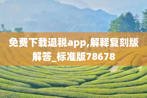 免费下载退税app,解释复刻版解答_标准版78678