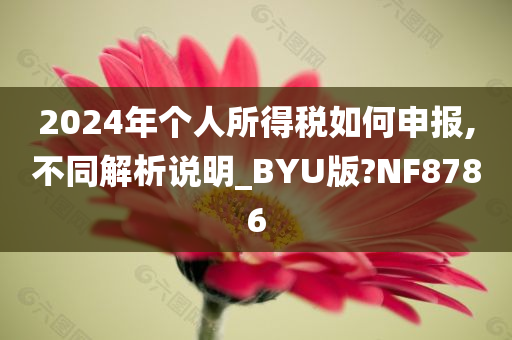 2024年个人所得税如何申报,不同解析说明_BYU版?NF8786