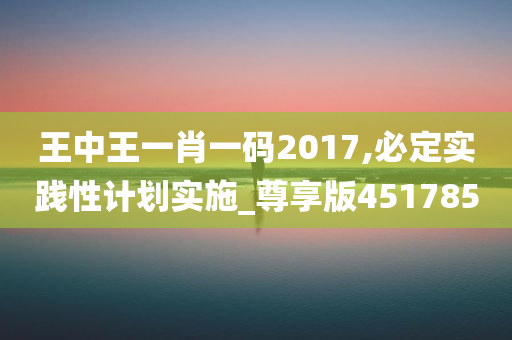 王中王一肖一码2017,必定实践性计划实施_尊享版451785