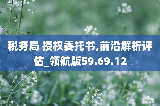 税务局 授权委托书,前沿解析评估_领航版59.69.12