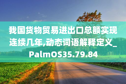 我国货物贸易进出口总额实现连续几年,动态词语解释定义_PalmOS35.79.84