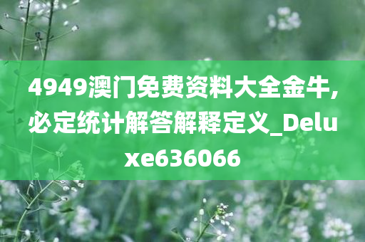 4949澳门免费资料大全金牛,必定统计解答解释定义_Deluxe636066