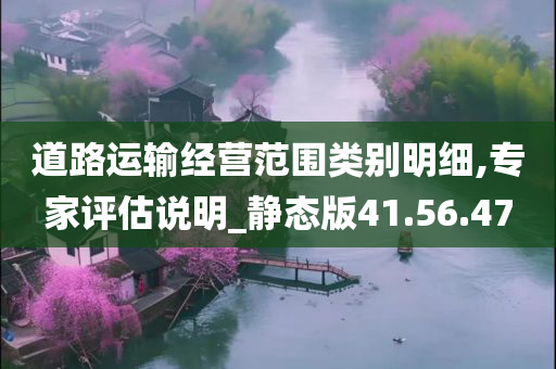 道路运输经营范围类别明细,专家评估说明_静态版41.56.47