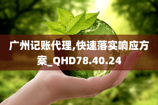 广州记账代理,快速落实响应方案_QHD78.40.24