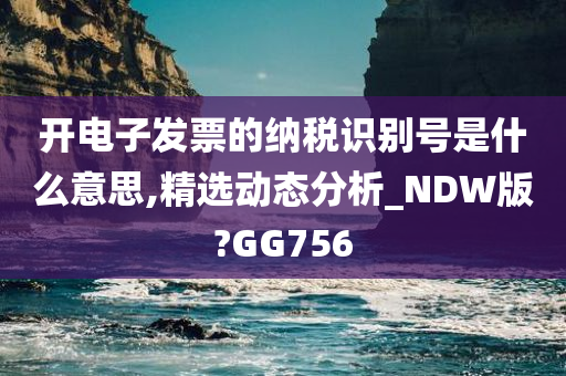 开电子发票的纳税识别号是什么意思,精选动态分析_NDW版?GG756