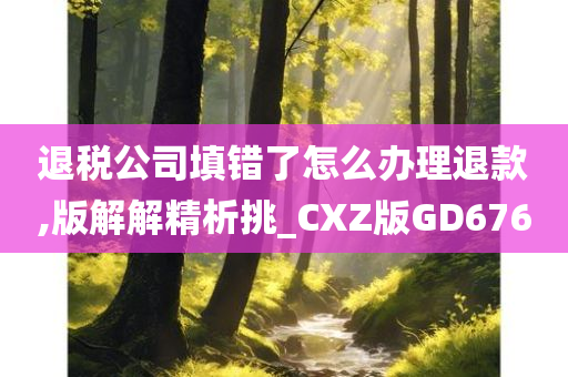 退税公司填错了怎么办理退款,版解解精析挑_CXZ版GD676