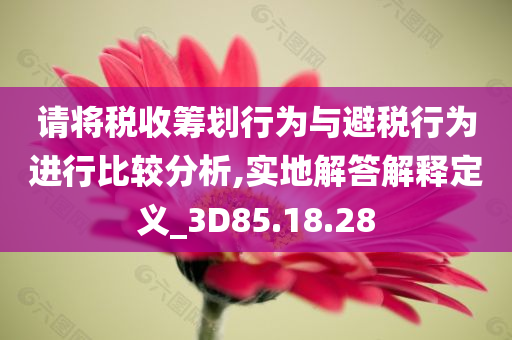 请将税收筹划行为与避税行为进行比较分析,实地解答解释定义_3D85.18.28