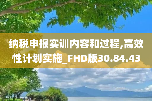 纳税申报实训内容和过程,高效性计划实施_FHD版30.84.43