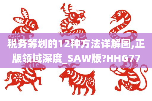 税务筹划的12种方法详解图,正版领域深度_SAW版?HHG77