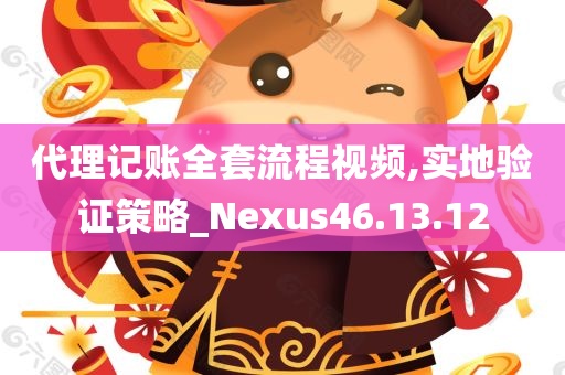 代理记账全套流程视频,实地验证策略_Nexus46.13.12