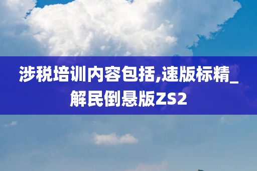 涉税培训内容包括,速版标精_解民倒悬版ZS2