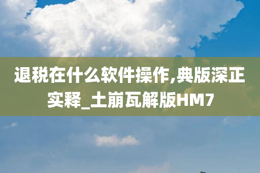 退税在什么软件操作,典版深正实释_土崩瓦解版HM7