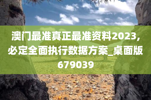 澳门最准真正最准资料2023,必定全面执行数据方案_桌面版679039