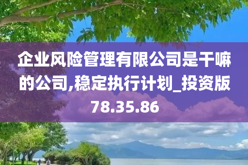 企业风险管理有限公司是干嘛的公司,稳定执行计划_投资版78.35.86