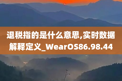 退税指的是什么意思,实时数据解释定义_WearOS86.98.44