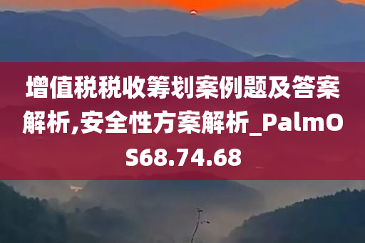 增值税税收筹划案例题及答案解析,安全性方案解析_PalmOS68.74.68