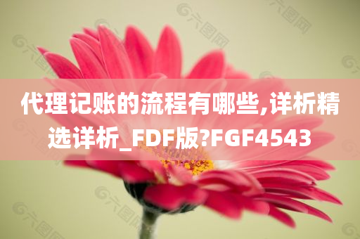 代理记账的流程有哪些,详析精选详析_FDF版?FGF4543