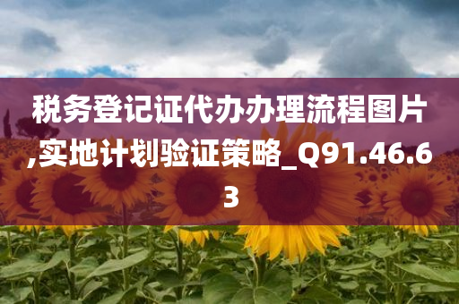 税务登记证代办办理流程图片,实地计划验证策略_Q91.46.63