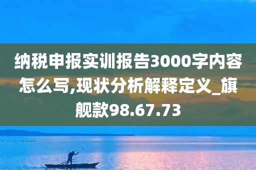 纳税申报实训报告3000字内容怎么写,现状分析解释定义_旗舰款98.67.73