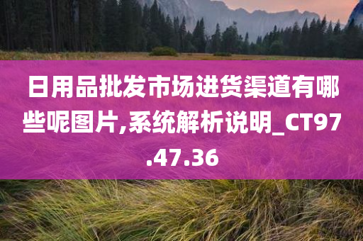 日用品批发市场进货渠道有哪些呢图片,系统解析说明_CT97.47.36