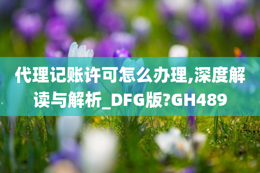 代理记账许可怎么办理,深度解读与解析_DFG版?GH489