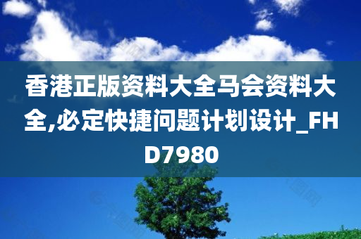 香港正版资料大全马会资料大全,必定快捷问题计划设计_FHD7980