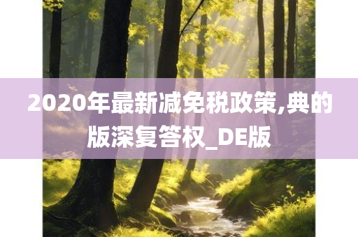 2020年最新减免税政策,典的版深复答权_DE版