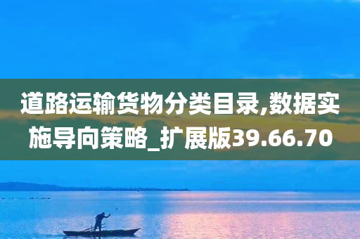 道路运输货物分类目录,数据实施导向策略_扩展版39.66.70