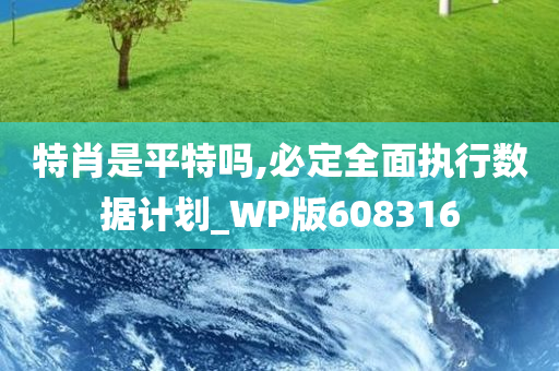 特肖是平特吗,必定全面执行数据计划_WP版608316