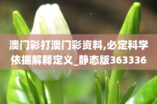 澳门彩打澳门彩资料,必定科学依据解释定义_静态版363336