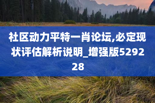 社区动力平特一肖论坛,必定现状评估解析说明_增强版529228