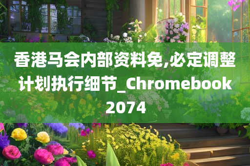 香港马会内部资料免,必定调整计划执行细节_Chromebook2074