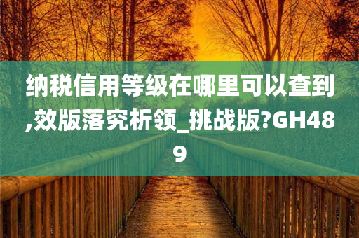 纳税信用等级在哪里可以查到,效版落究析领_挑战版?GH489