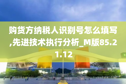 购货方纳税人识别号怎么填写,先进技术执行分析_M版85.21.12