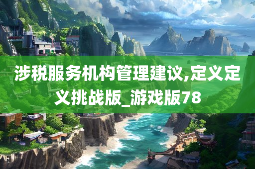 涉税服务机构管理建议,定义定义挑战版_游戏版78