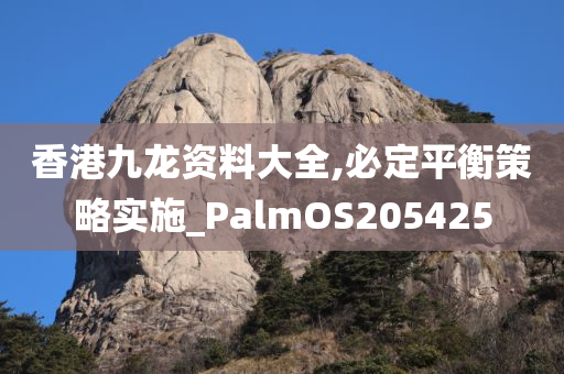 香港九龙资料大全,必定平衡策略实施_PalmOS205425