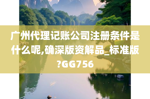 广州代理记账公司注册条件是什么呢,确深版资解品_标准版?GG756