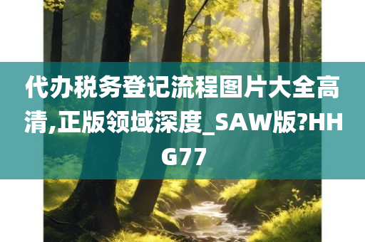 代办税务登记流程图片大全高清,正版领域深度_SAW版?HHG77