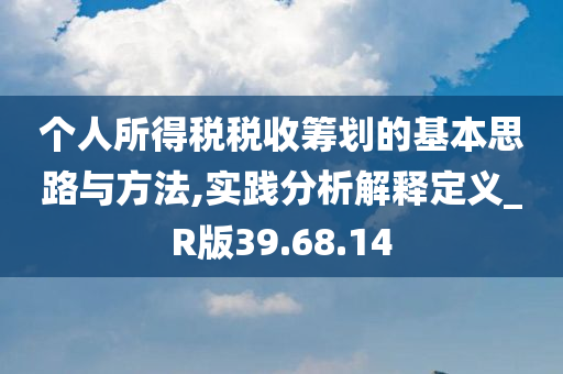 个人所得税税收筹划的基本思路与方法,实践分析解释定义_R版39.68.14