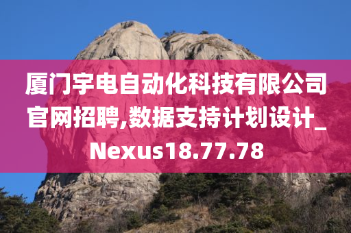 厦门宇电自动化科技有限公司官网招聘,数据支持计划设计_Nexus18.77.78