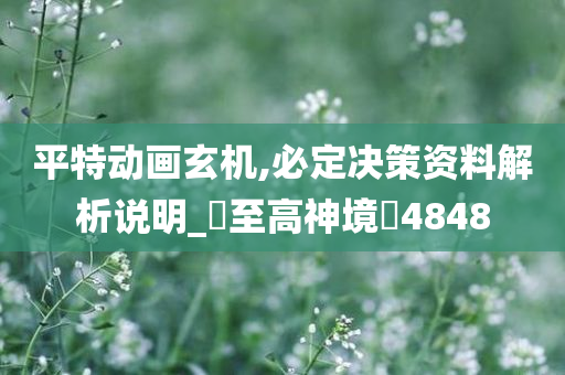 平特动画玄机,必定决策资料解析说明_‌至高神境‌4848